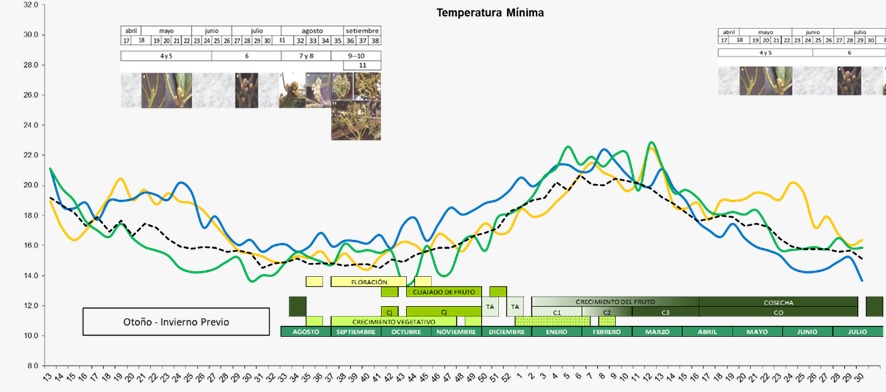 Temperatura máxima y mínima promedio semanal durante las temporadas 2014-2015 (amarillo), 2015-2016 (azul) y 2016-2017 (verde) en la provincia de Virú, La Libertad, Perú.